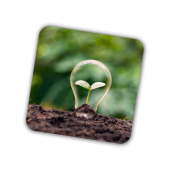 lightbulb with leaf inside it on top of soil surrounded by greenery