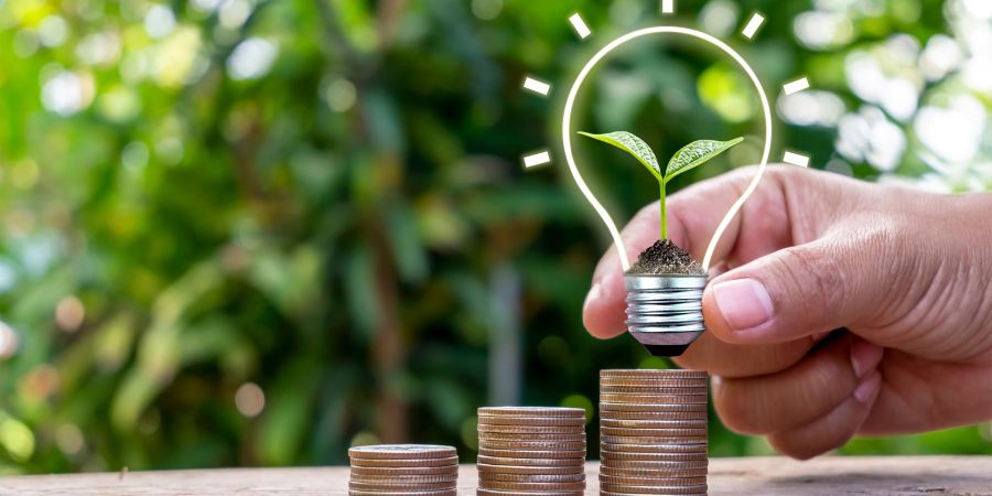 Hand holding lightbulb with plant inside the bulb on top of coins on a table surrounded by a forest